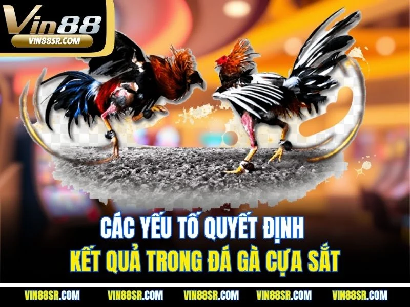 Các yếu tố quyết định kết quả trong đá gà cựa sắt