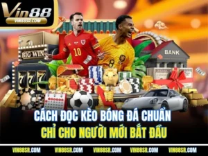 Cách Đọc Kèo Bóng Đá Chuẩn Chỉ Cho Người Mới Bắt Đầu